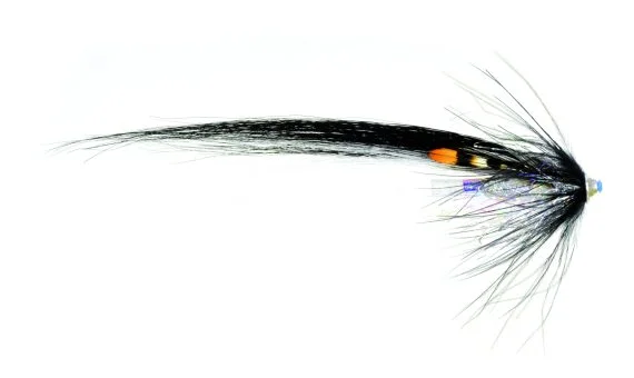 sportfishtackle202606040430062618712