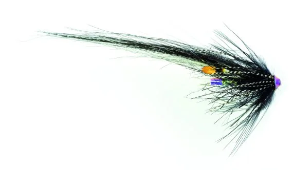 sportfishtackle202606040430382618800