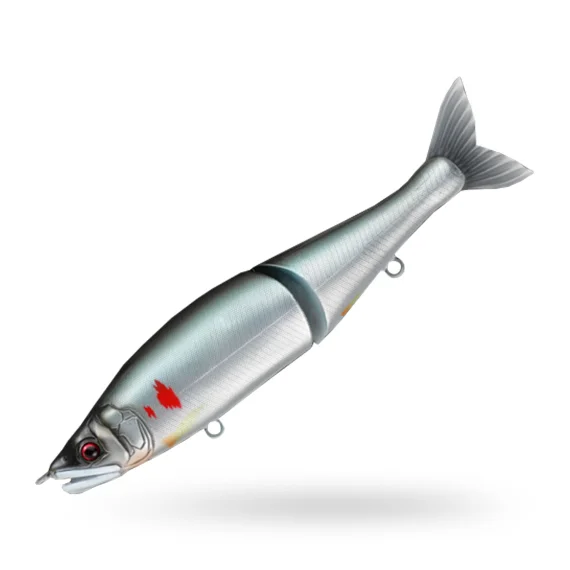 sportfishtackle202606040459302623351
