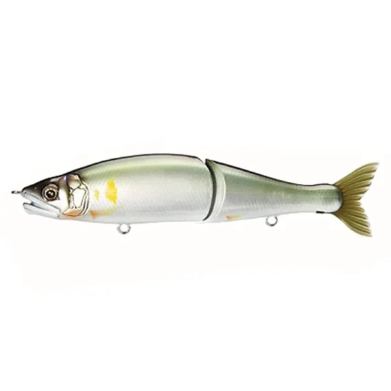 sportfishtackle202606040501212623623