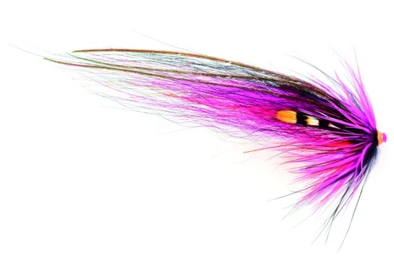 sportfishtackle202606040503292623942