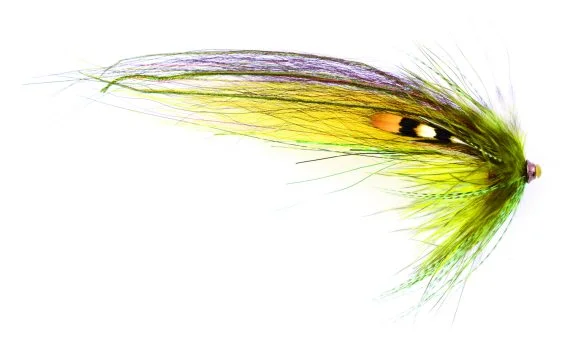 sportfishtackle202606040503402623969