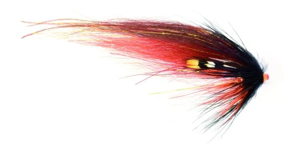 sportfishtackle202606040503452623982