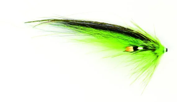 sportfishtackle202606040504012624021