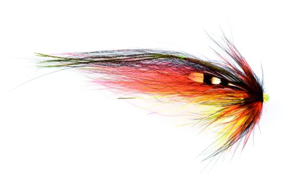 sportfishtackle202606040504042624030