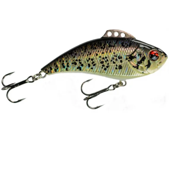 sportfishtackle202606040517092626031