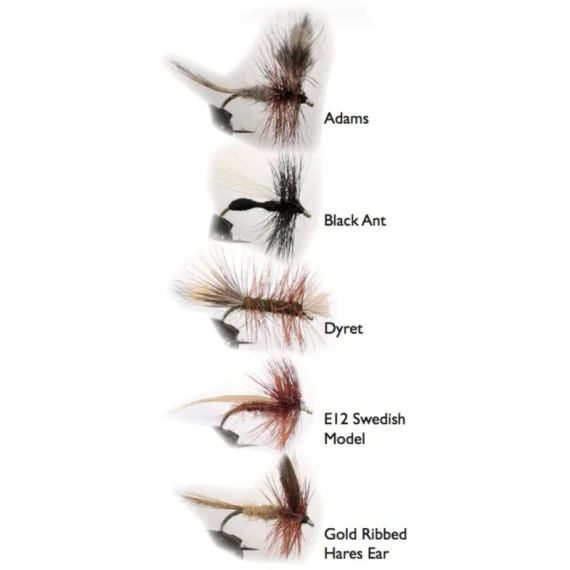 sportfishtackle202606040533372628703
