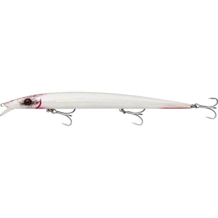 tackleshop202606031808532337346