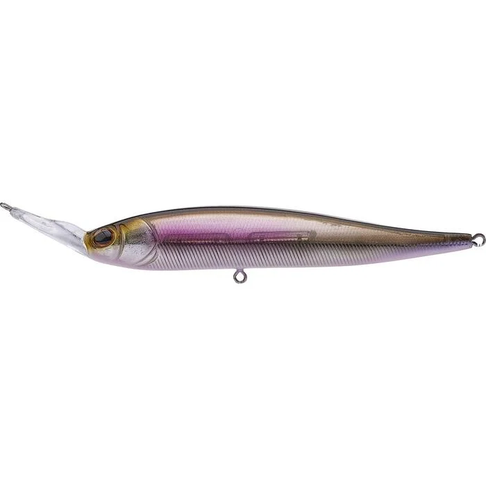 tackleshop202606031916102401089